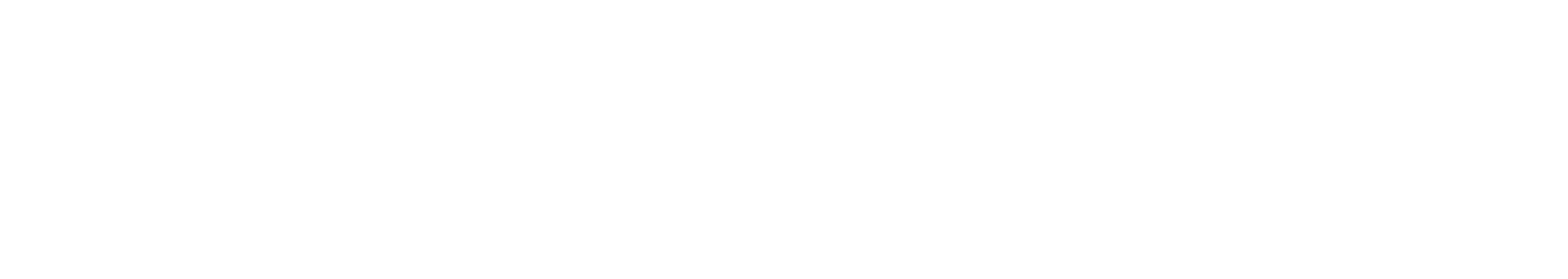 Netcamara